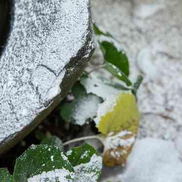 KIYOMIZU京都東山 冬景色