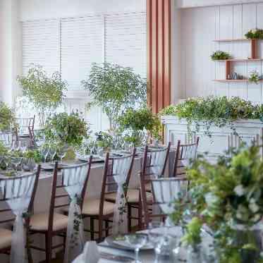 リバースイート京都鴨川迎賓館 オリジナルコーディネート
白グリーンでナチュラルな空間に!