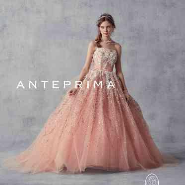 リバースイート京都鴨川迎賓館 ANT10225