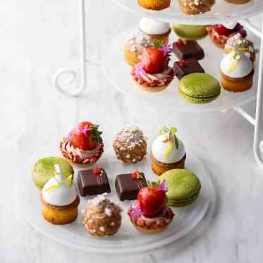 FORTUNE GARDEN KYOTO (フォーチュンガーデン京都) 1