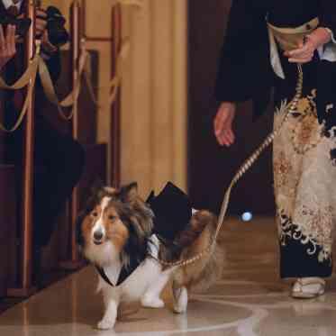 覚王山ル・アンジェ教会 大切な愛犬をリングドッグに