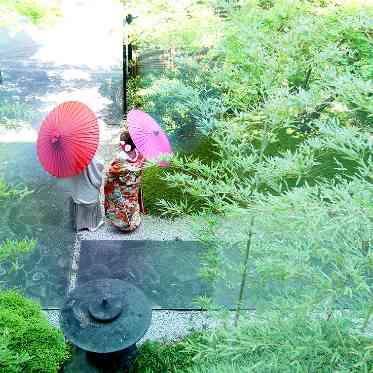 日本庭園はフォトスポットとして人気急上昇