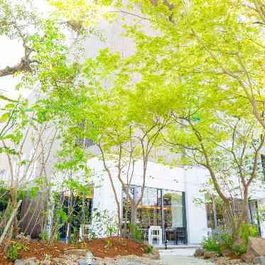 KKRホテル博多 光と緑に包まれた開放感あふれるガーデン