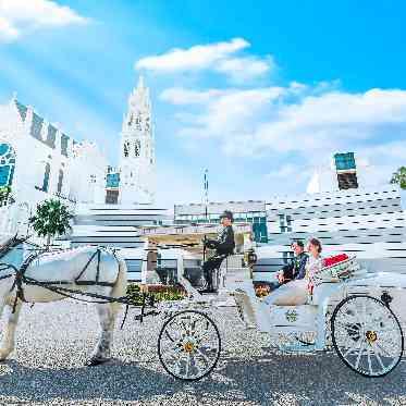 ノートルダムマリノアオリジナル演出!白馬の馬車での登場