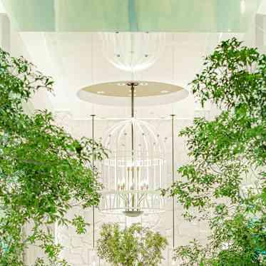 木に囲まれてナチュラルなセレモニーも