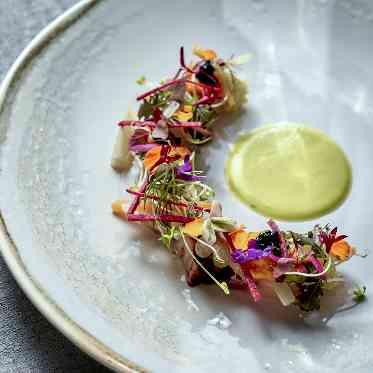 HOTEL GREGES(オテル グレージュ) お料理