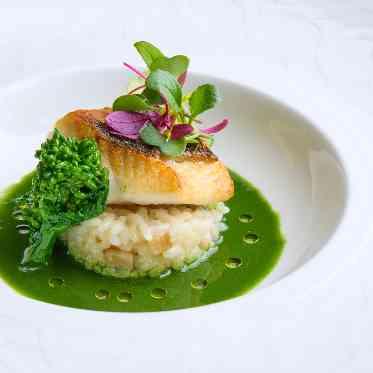 HOTEL GREGES(オテル グレージュ) 宗像の恵みを味わう、至福の一皿