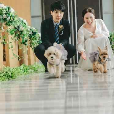 ホテルアークリッシュ豊橋 駅前の好立地でペットとの結婚式が叶う◎