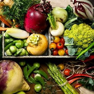 ブリーズレイ・プライベートテラス 厳選地元食材を使用した料理内容。野菜が持つ最大の魅力をお届け。