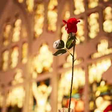 Monterfare(モンテファーレ) 赤いバラは、セントジョージ・チャペルの象徴