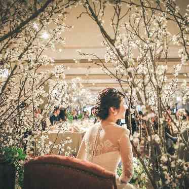 TOAST 季節感を取り入れた桜で溢れたコーディネートでゲストをおもてなし