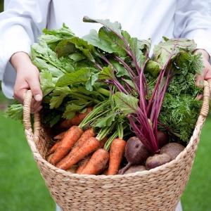 代官山 鳳鳴館 料理に使う全ての食材にこだわっています。