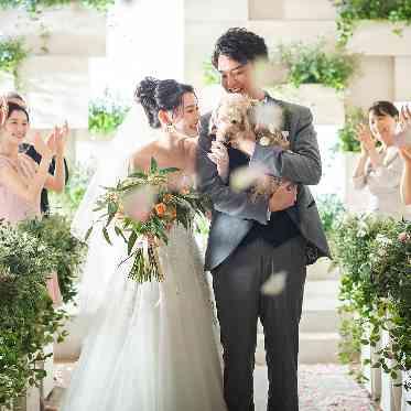 ホテルフランクス 【フラワーシャワー】