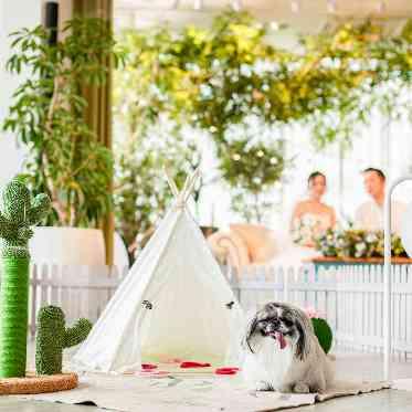 ホテルフランクス 【ドッグパーク】愛犬やペットが自由に遊びまわれるスペースを設置することも可能