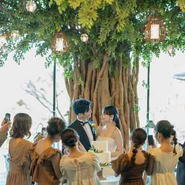 SOLA KOBE ゲストのスマホで撮影できるほど近い距離