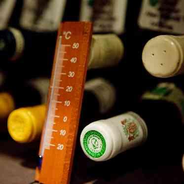 ENOTECA PINCHIORRI(エノテーカ ピンキオーリ) ワインセラーでしっかり管理 最低でも3か月寝かせてからお客様にお出ししております