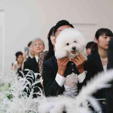 アール・ベル・アンジェ堺 愛くるしい姿にゲストも和むひととき