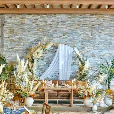 アール・ベル・アンジェ堺 1Fの披露宴会場 自然 緑風 「Ventvert」