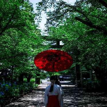愛知県護国神社