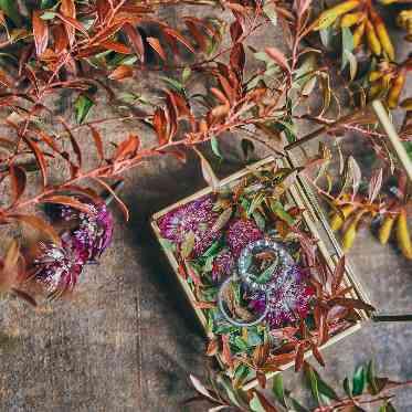 ヴォヤージュ ドゥ ルミエール 京都七条迎賓館 ヴォヤージュ ドゥ ルミエール 京都七条迎賓館