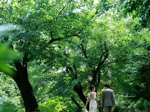 ＬＵＣＩＳ(ルーキス) 外観