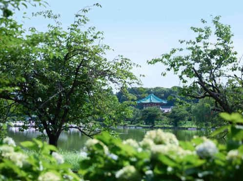 ＬＵＣＩＳ(ルーキス) 外観