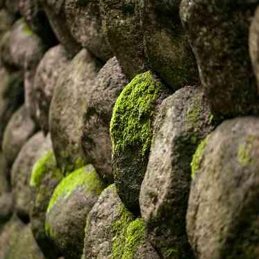 LUCIS(ルーキス) 【Garden】Image7/8