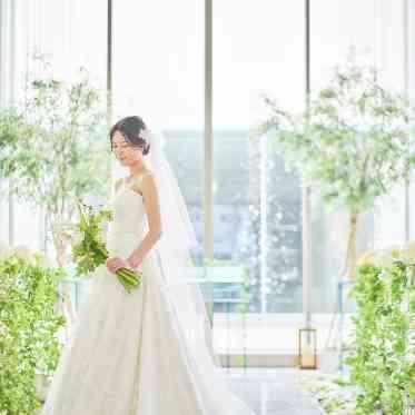 ALCAZAR AVVIO(アルカーサル・アヴィオ) ソロ