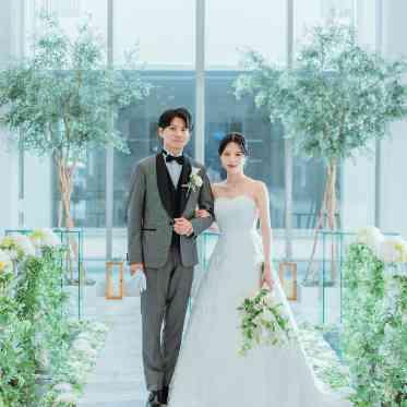 ALCAZAR AVVIO(アルカーサル・アヴィオ) ナチュラルWDを