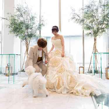 ALCAZAR AVVIO(アルカーサル・アヴィオ) リングドッグとして参加も可能ワンちゃん以外でも参加できます!