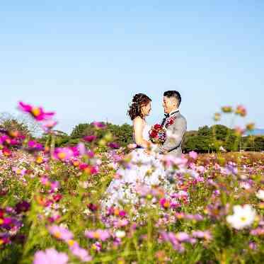 ALCAZAR AVVIO(アルカーサル・アヴィオ) 前撮り