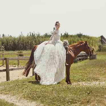 王道ドレスからインポートドレス、「PRONOVIAS」などのブランドドレスも豊富