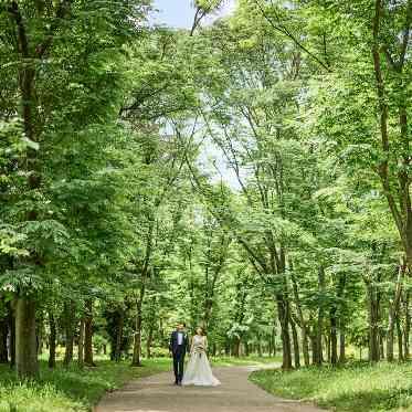 森の中で結婚式を挙げることができる。