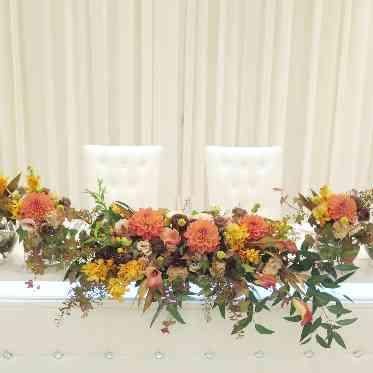 シエロコーディネート