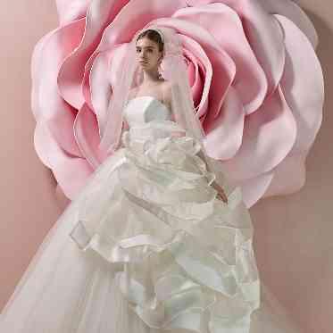 アンフェリシオン キヨコハタ