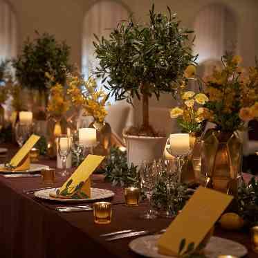 アンフェリシオン カーサコーディネートイメージ