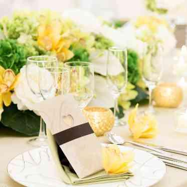 シエロコーディネートイメージ