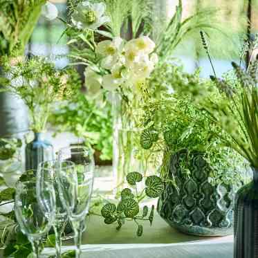 Blanc Beige(ブラン:ベージュ) ●BRASSグループ リゾート感たっぷりのコーディネート