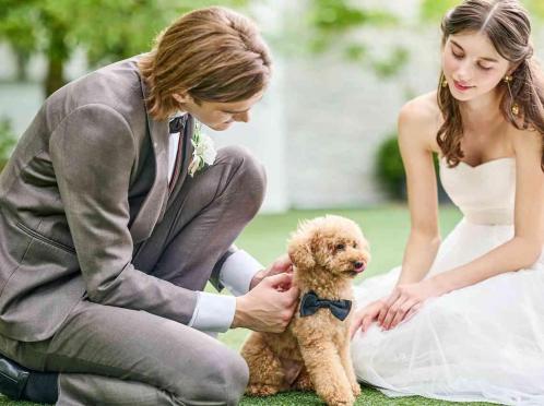 Blanc Beige(ブラン:ベージュ) ●BRASSグループ ガーデン