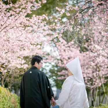 THE LUXSCENA(ザ・ラグシエナ) 2月。八重桜がとても綺麗