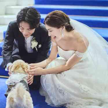 リングドックも可能です