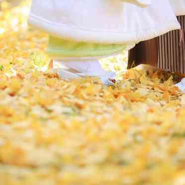 京都 アートグレイス ウェディングヒルズ 秋の紅葉