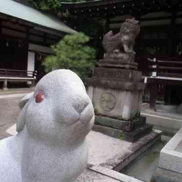 桜鶴苑（おうかくえん） 【岡崎神社】平安京の四方の東を護る神社