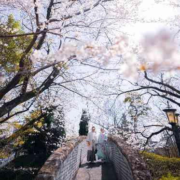 マリアージュ彦根 マリアージュ彦根のシンボルアーチの上にはこんな撮影ポイントが!