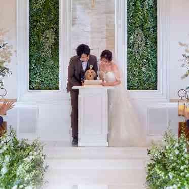 二条城チャペル セント・アベニール ペットウェディングが叶うのも魅力の1つ!リングドッグや承認スタンプなども人気