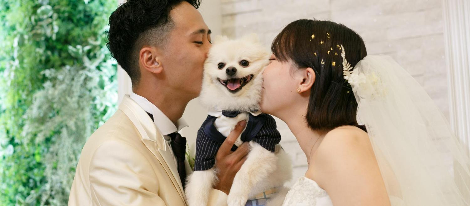 二条城チャペル　セント・アベニール 挙式会場