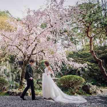 ハイアット リージェンシー 京都 春は桜がお2人の門出を祝福いたします