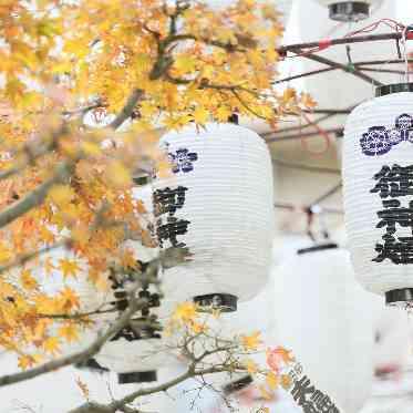 レストランひらまつ 博多 櫛田神社・住吉神社・護国神社・太宰府天満宮など、福岡近郊の神社は全てご案内可能