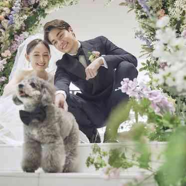 アートグレイス ウエディングコースト わんちゃん①