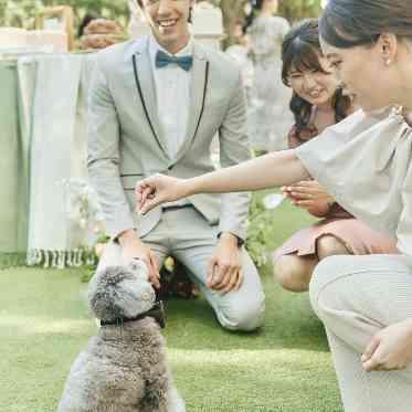 アートグレイス ウエディングコースト わんちゃん④